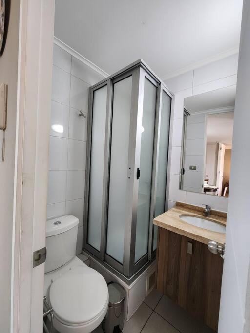 Acogedor Apartamento En Centro De Santiago. Экстерьер фото