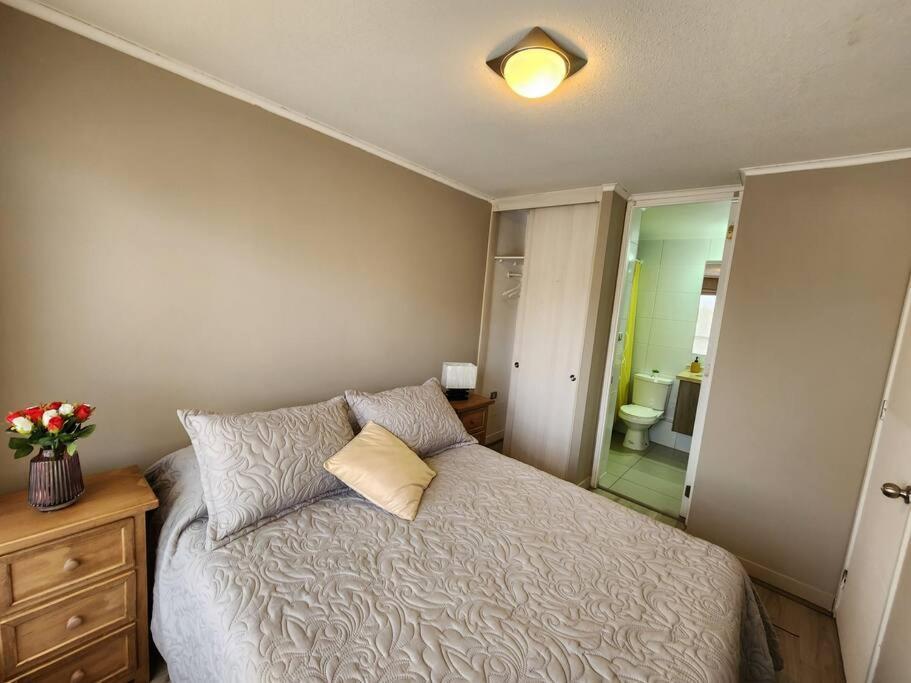 Acogedor Apartamento En Centro De Santiago. Экстерьер фото